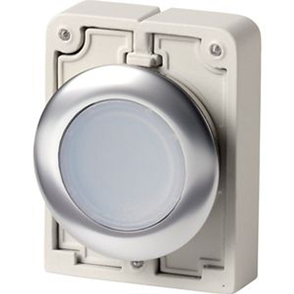 M30I-FDL-W Illuminated pushbutton actuator, RMQ-Titan, flat, momentary, White, blank, Front ring stainless steel image 2