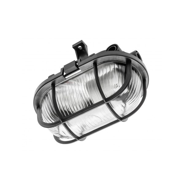 Luminaire SANGUESA for E27 lamps with protective plastic mesh, max. 40 W, AC220-240V, IP54, glass shade, black image 1