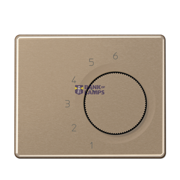 centre plate for room thermostat insert image 1
