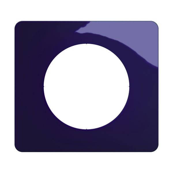 PLATE 1 GANG BLEU DE FOUR image 6