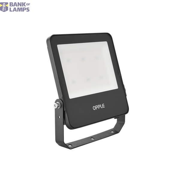 LEDFlood-E3 Re246-100W-840-BL image 2