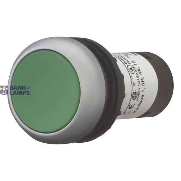 Pushbutton, flat, momentary, 1 N/O, green, Screw connection, Bezel: ti image 10