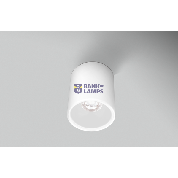 PLAFONIERA LED ESSENZA ROUND BIANCA/BIA image 1