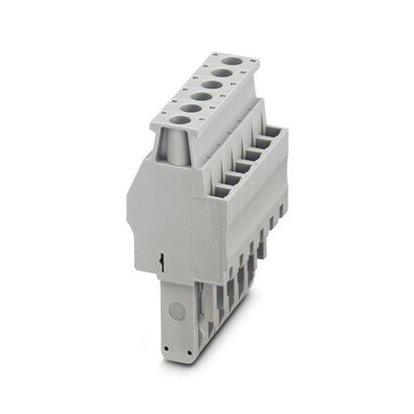 UPBV 4/ 6 - Plug image 5