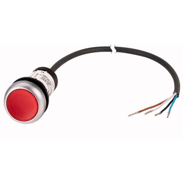 C22-DRL-R-K01-24-P65 Illuminated pushbutton actuator, classic, flat, maintained, 1 N/C, red, 24 V AC/DC, cable (black) with non-terminated end, 4 pole, 3.5 m image 1