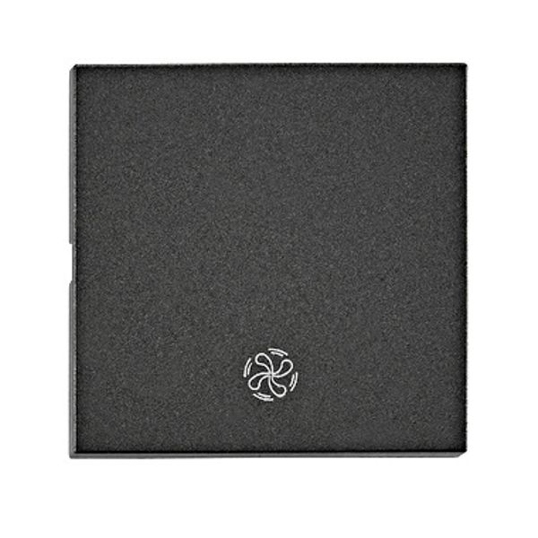 Rocker S 55 with symbol fan, anthracite image 1