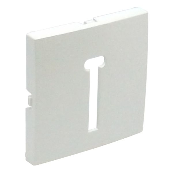 COVER PLATE F/T8 FRENCH TELEP SOCKET ICE image 2