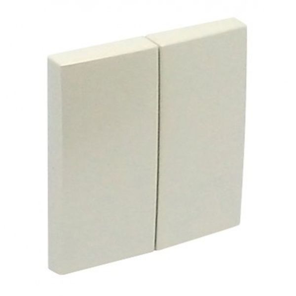 ROCKER F/DOUBLE-FUNCTION MECHANISM PEARL image 1