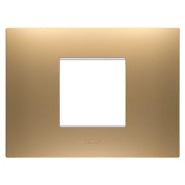 EGO PLATE - IN PAINTED TECHNOPOLYMER - 2 MODULES - GOLD - CHORUSMART image 1