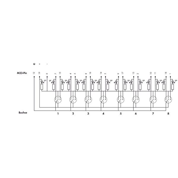 M12 sensor/actuator box 8-way 5-pole image 4
