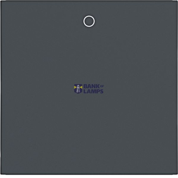 Single rocker, imprint "0", A.x/C.x, anthracite image 1