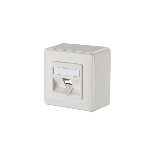 Keystone wall outlet surface mounted 1 port unequipped pure white image 1