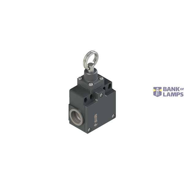 Position switch for rope actuation image 1