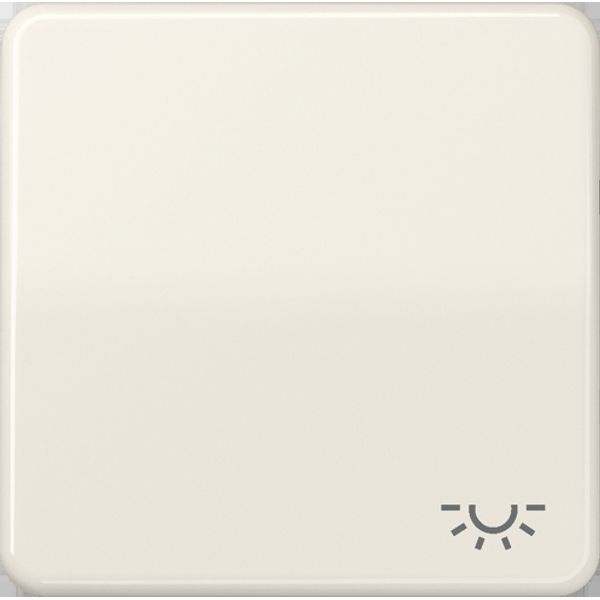 1-gang rocker,breakpr. with symbol light CD590BFL image 11