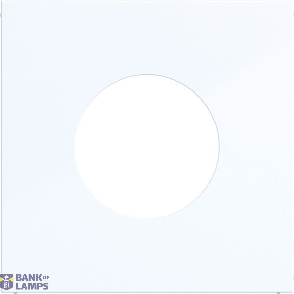 Central plate for push button/light signal E10, A.x/C.x, light white glass image 1