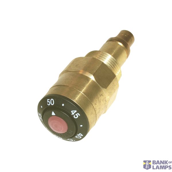 Thermostatic control module MTCV image 1