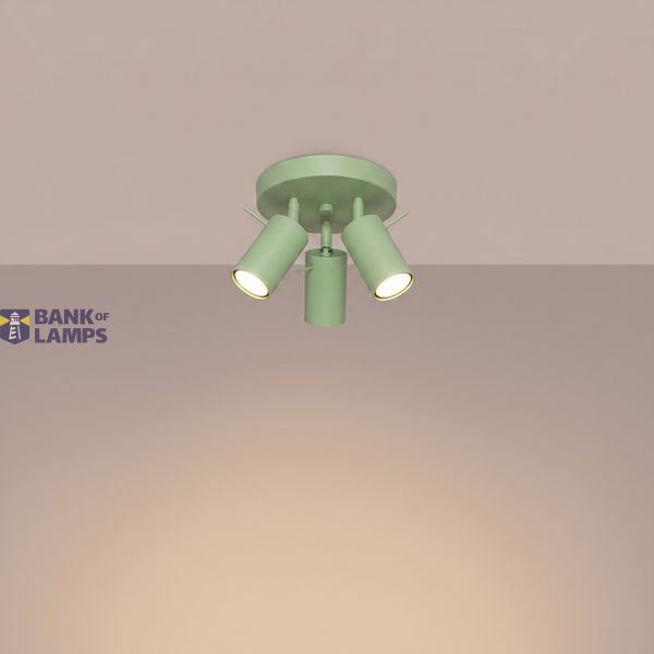Ceiling lamp RING 3P sage image 9