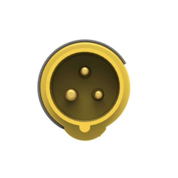 216EP4 Industrial Plug image 2