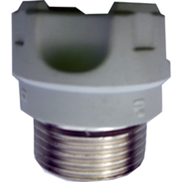 Fichero: Tap_n_DO3_0111820.JPG image 1