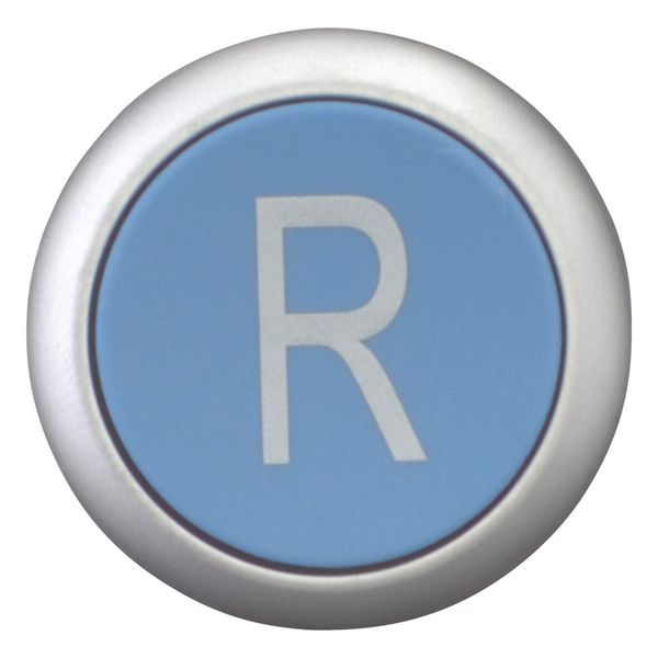 M22-DZ-B-X6 Release pushbutton, blue, R image 3