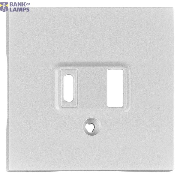 USB Type A+C Charging Port Cover, Silver image 1