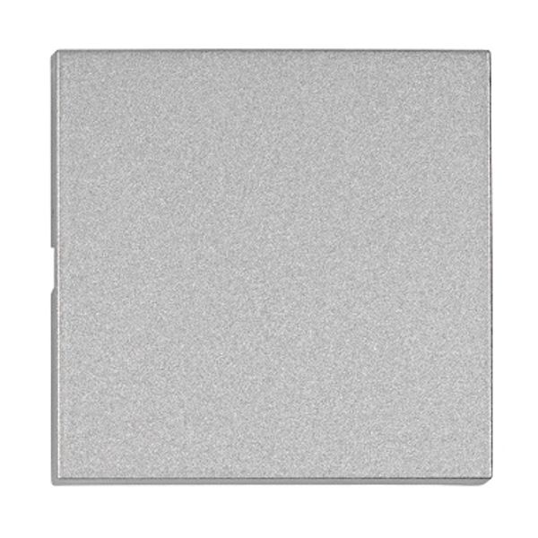 Rocker S 55, silver image 1