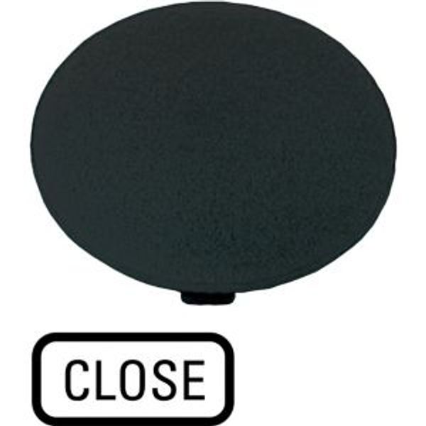 M22-XDP-S-GB2 Button plate, mushroom black, CLOSE image 4