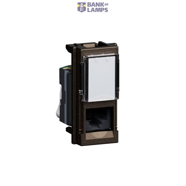 BTNET - L.NOW RJ45 TOOLLESS UTP CAT5E BRONZO image 1