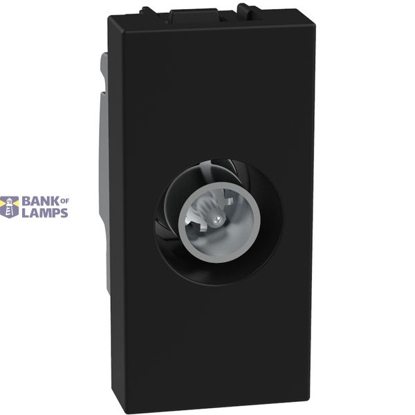 Light Now - socket TV star 1m dark image 1
