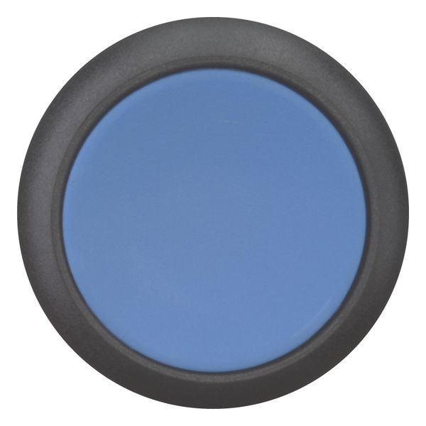 M22S-D-B Pushbutton, RMQ-Titan, Flat, momentary, Blue, Blank, Bezel: black image 10