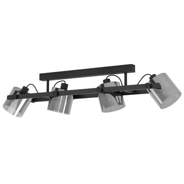 HORNWOOD 2 ceiling light 43671 image 1