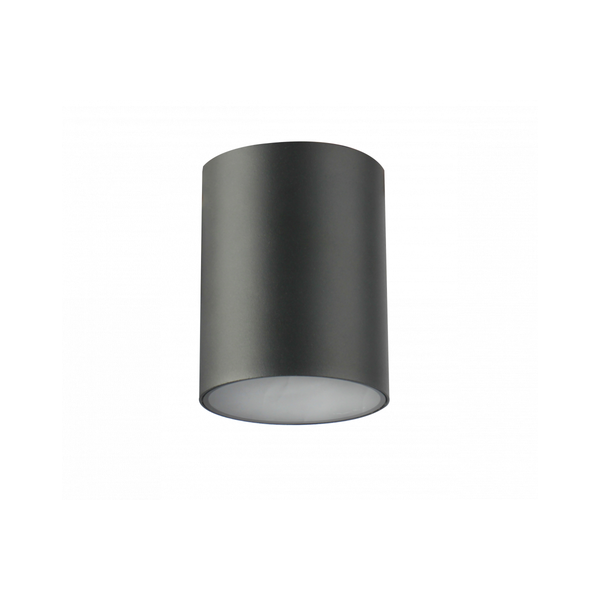 Ceiling luminaire LENTO, aluminum, IP54, max. 35 W, round, graphite image 1