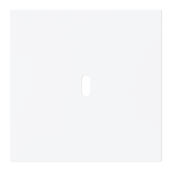 Central disc USB-C power supply insert 65W Busch-art linear® image 1