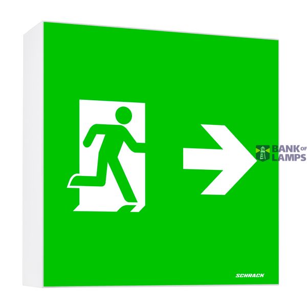 Emergency light WFX WL LED IP65 3h 230V AC, wall-mounted. image 1