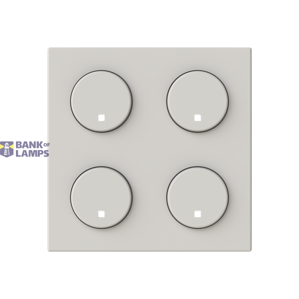 COVER DUNA MOD. 2IN SR-4-N2 DN image 1