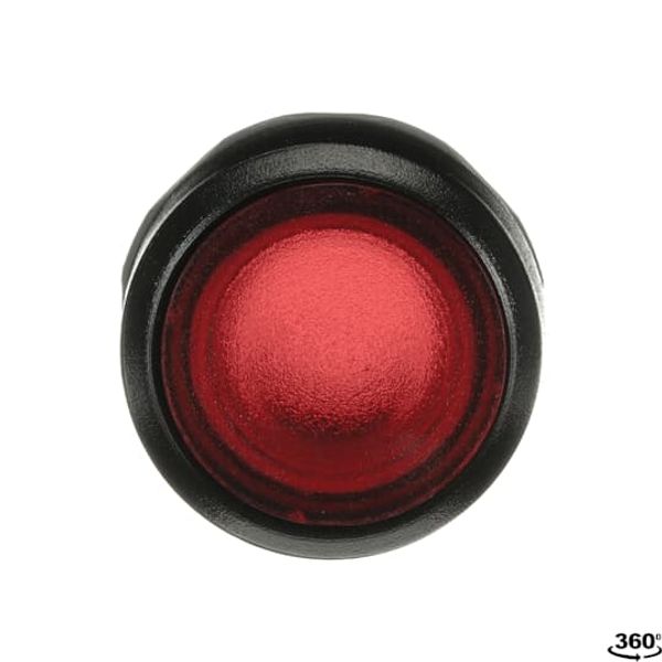 MP9-1243 Illuminated pushbutton red "HALT" flat, momentary, front ring: image 1