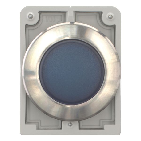 M30I-FL-B Indicator light, RMQ-Titan, flat, Blue, Front ring stainless steel image 4