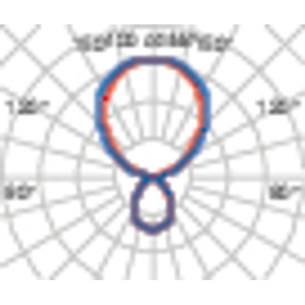 SL764+ PL XL 52 S/D 830 GREY DALI MP image 8