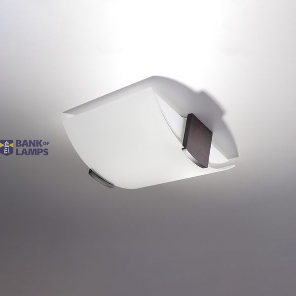 PLAFON EMILIO E27 2X60W IP20 image 4