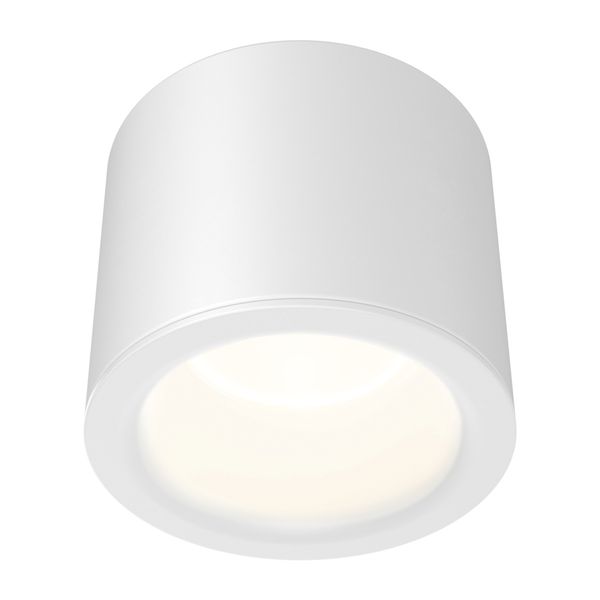 Salino LED 170 19W 1850lm 3000K IP44 IK06 white image 1