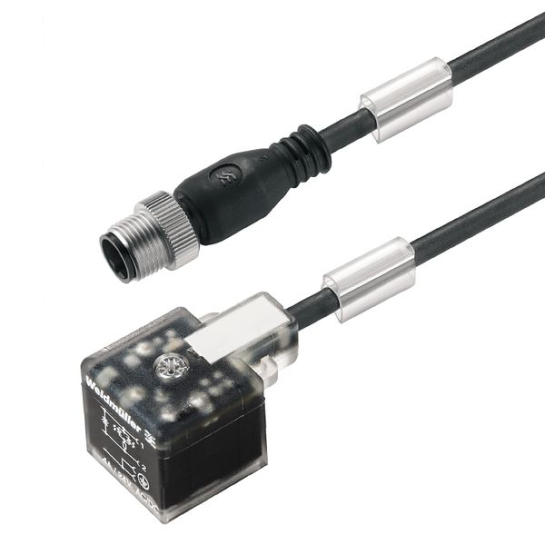 Valve cable (assembled), Straight plug - valve plug, Design A (18 mm), M12 = A-coded, Cable length: 1.5 m, PUR image 3