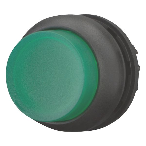 M22S-DLH-G Illuminated pushbutton actuator, RMQ-Titan, Extended, momentary, green, Blank, Bezel: black image 3