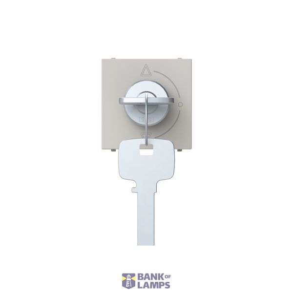 Key switch 3 positions - 2M - Dune image 1