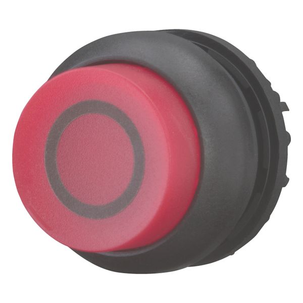M22S-DRLH-R-X0 Illuminated pushbutton actuator, RMQ-Titan, Extended, maintained, red, inscribed, Bezel: black image 2