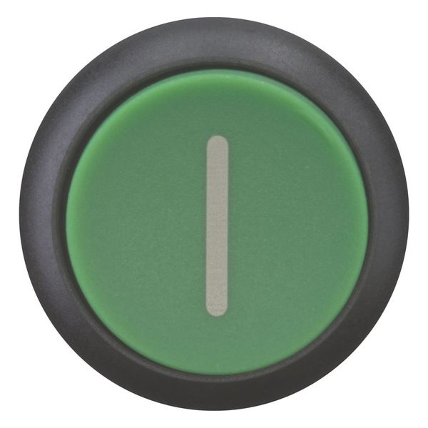 M22S-DH-G-X1 Pushbutton, RMQ-Titan, Extended, momentary, green, inscribed, Bezel: black image 9