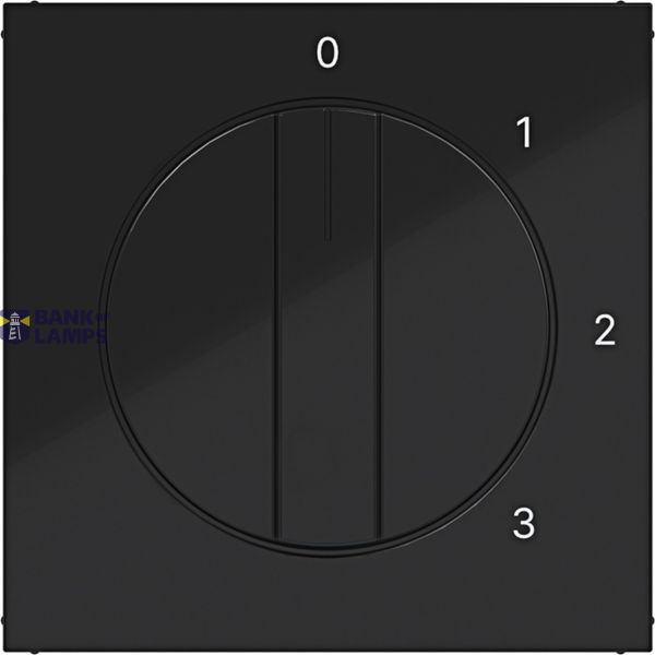 Central plate 3-position switch, neutral position A.x/C.x black glass. image 1