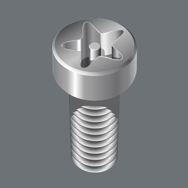 867/4 IPR TORX PLUS Bits met boring, 15 IPR x 89 mm image 2
