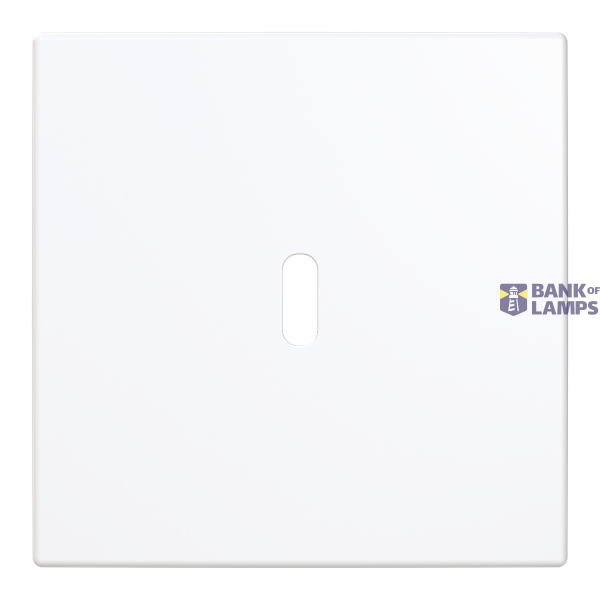 6479-916-510 Cover plate for USB C power adapter image 1