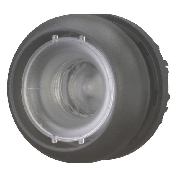 M22S-DRL-X Illuminated pushbutton actuator, RMQ-Titan, Flush, maintained, Without button plate, Bezel: black image 12