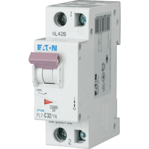 PL7-B32/1N Miniature circuit breaker (MCB), 32 A, 1p+N, characteristic: B image 1